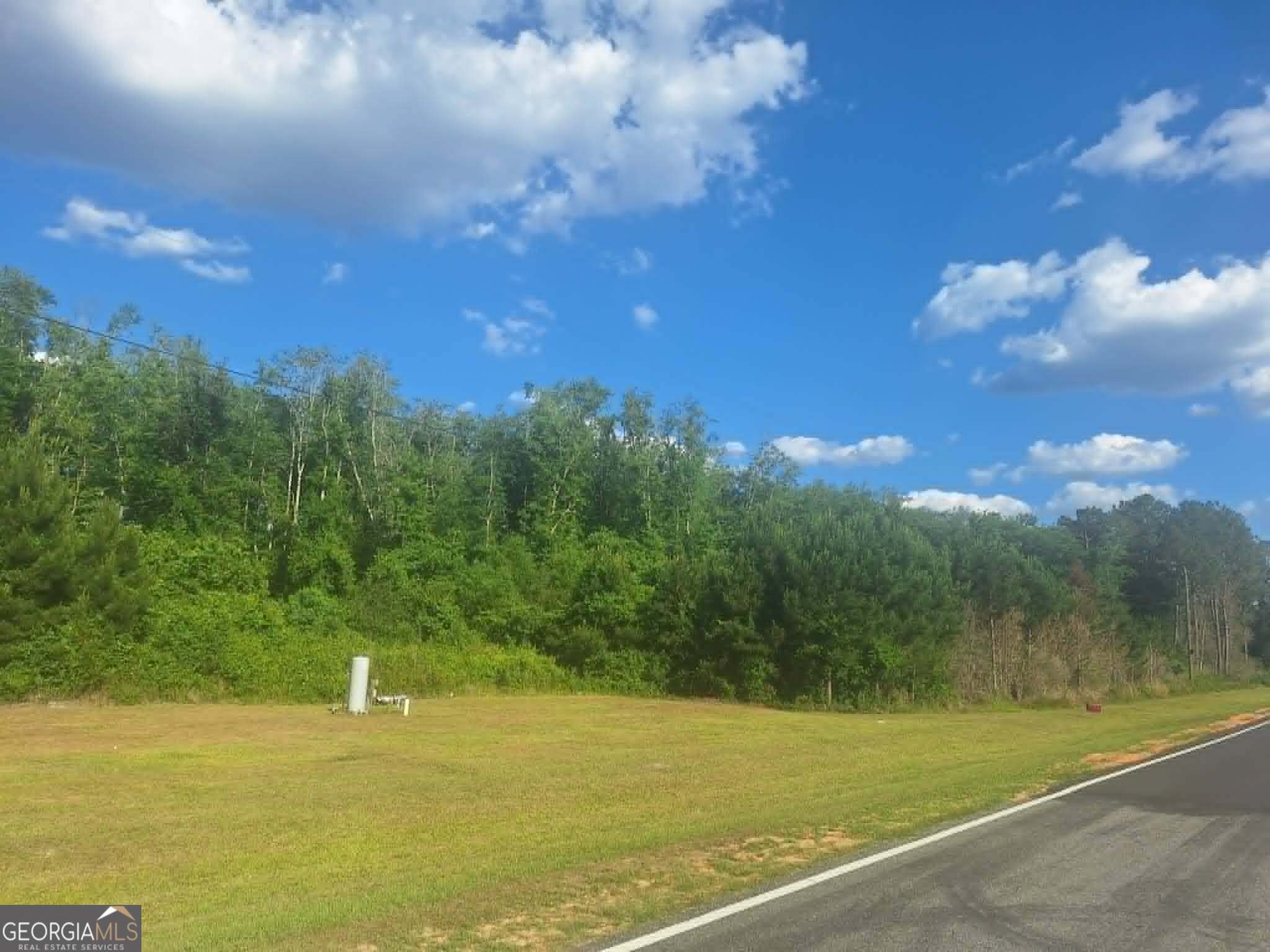 607 Prentiss Road Baxley, GA 31513 - Photo 2 of 4 a view of a big yard with lots of green space and mountain view