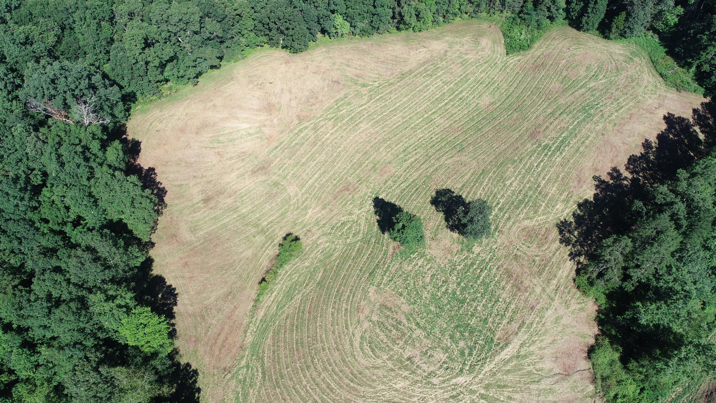 1 Langdon Branch Road Annville, KY 40402 - Photo 27 of 30 DJI_0236