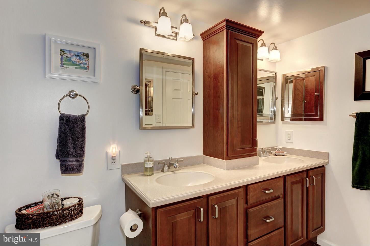 4534 28th Road South, Unit D Arlington, VA 22206 - Photo 17 of 21 Bathroom vanity