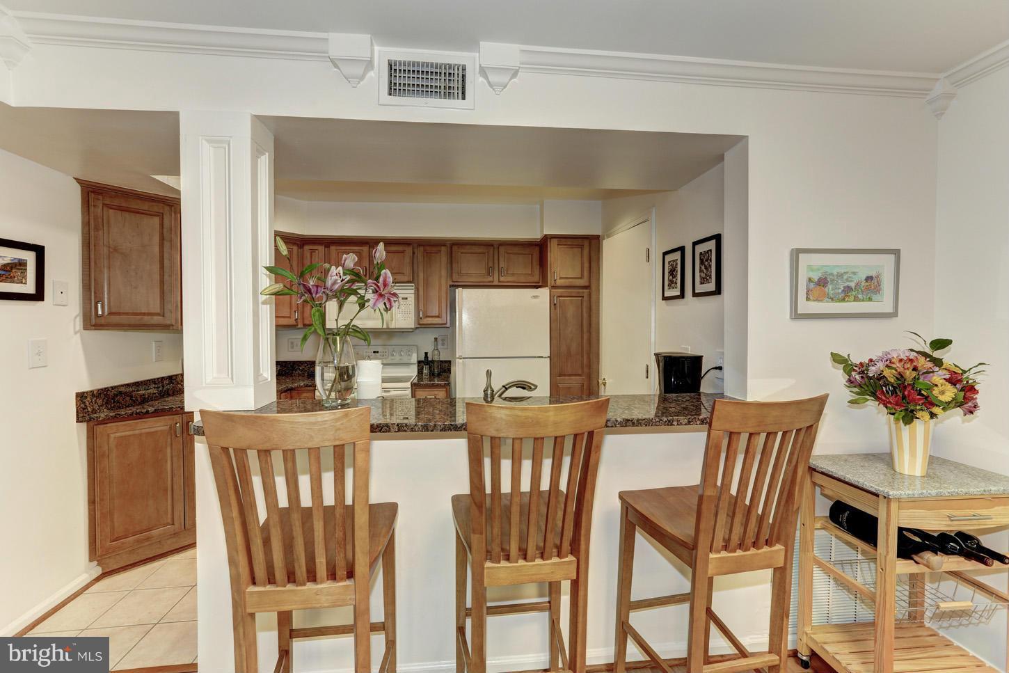 4534 28th Road South, Unit D Arlington, VA 22206 - Photo 8 of 21 Kitchen