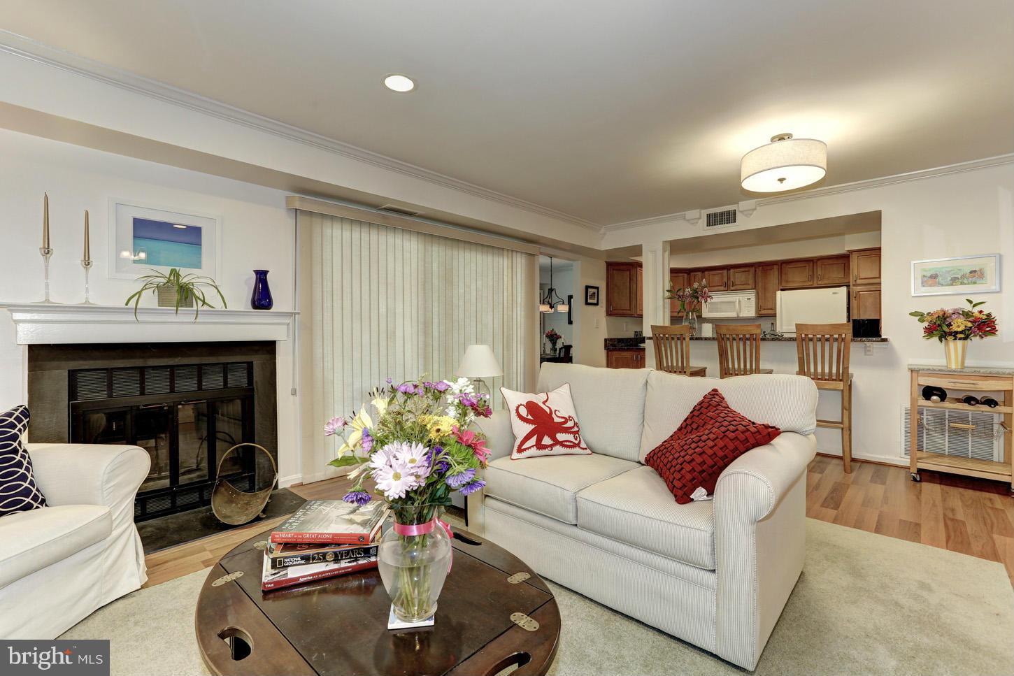 4534 28th Road South, Unit D Arlington, VA 22206 - Photo 10 of 21 Living Room with fireplace