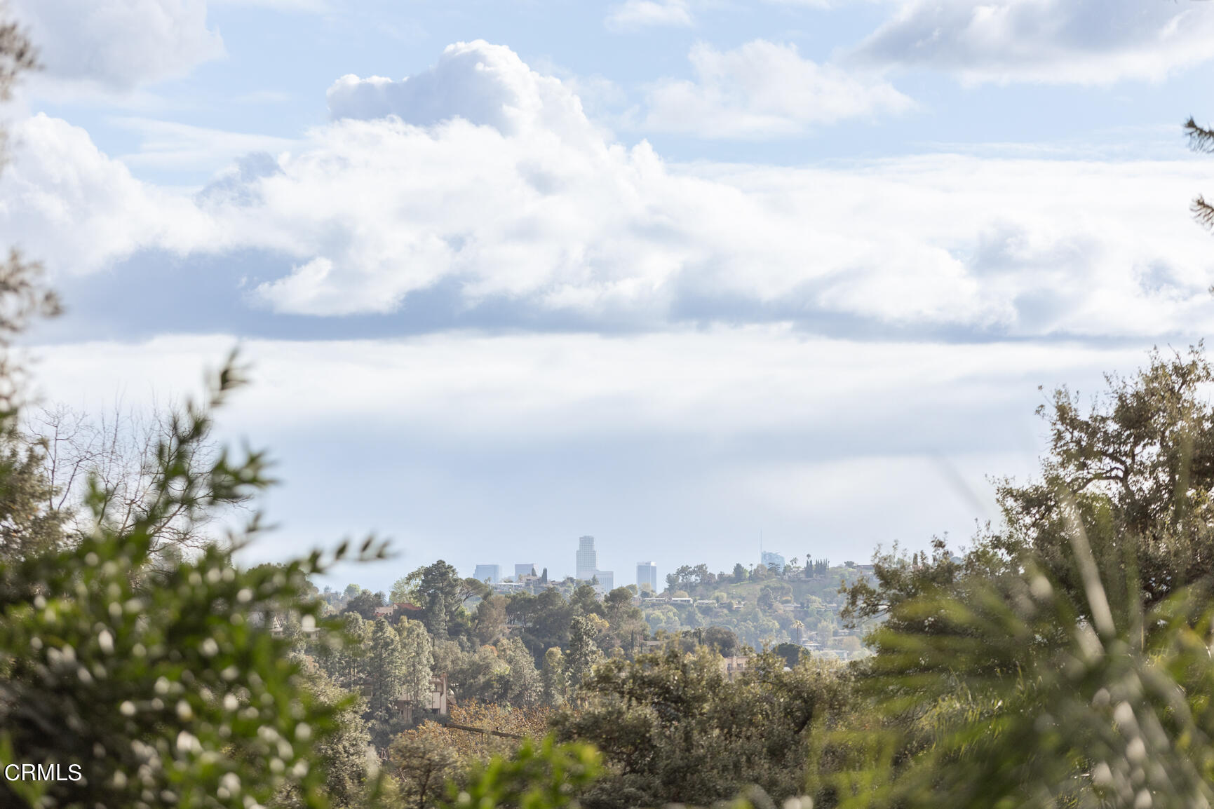 5314 Mt Royal Drive Eagle Rock, CA 90041 - Photo 38 of 47 Bw46_3253_5314Mt.Royal_DAMORE