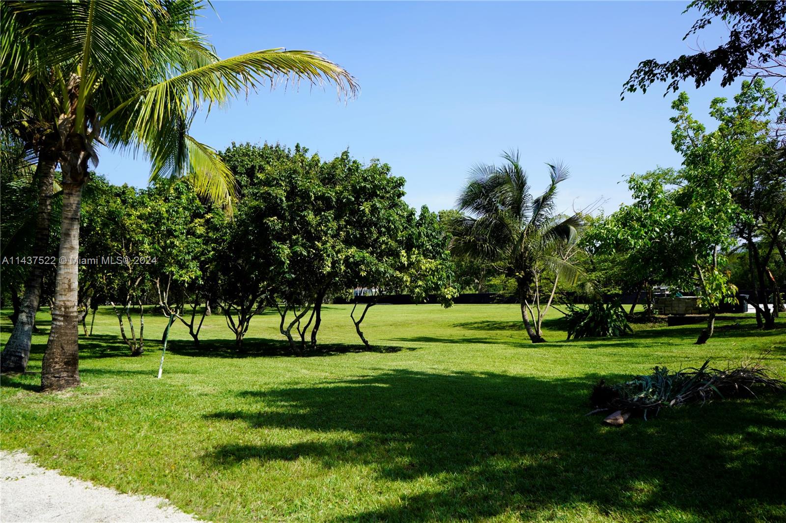 6500 Volunteer Road Southwest Ranches, FL 33330 - Photo 31 of 42 a view of grassy field with benches and trees