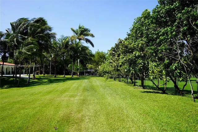 a view of a trees with a park