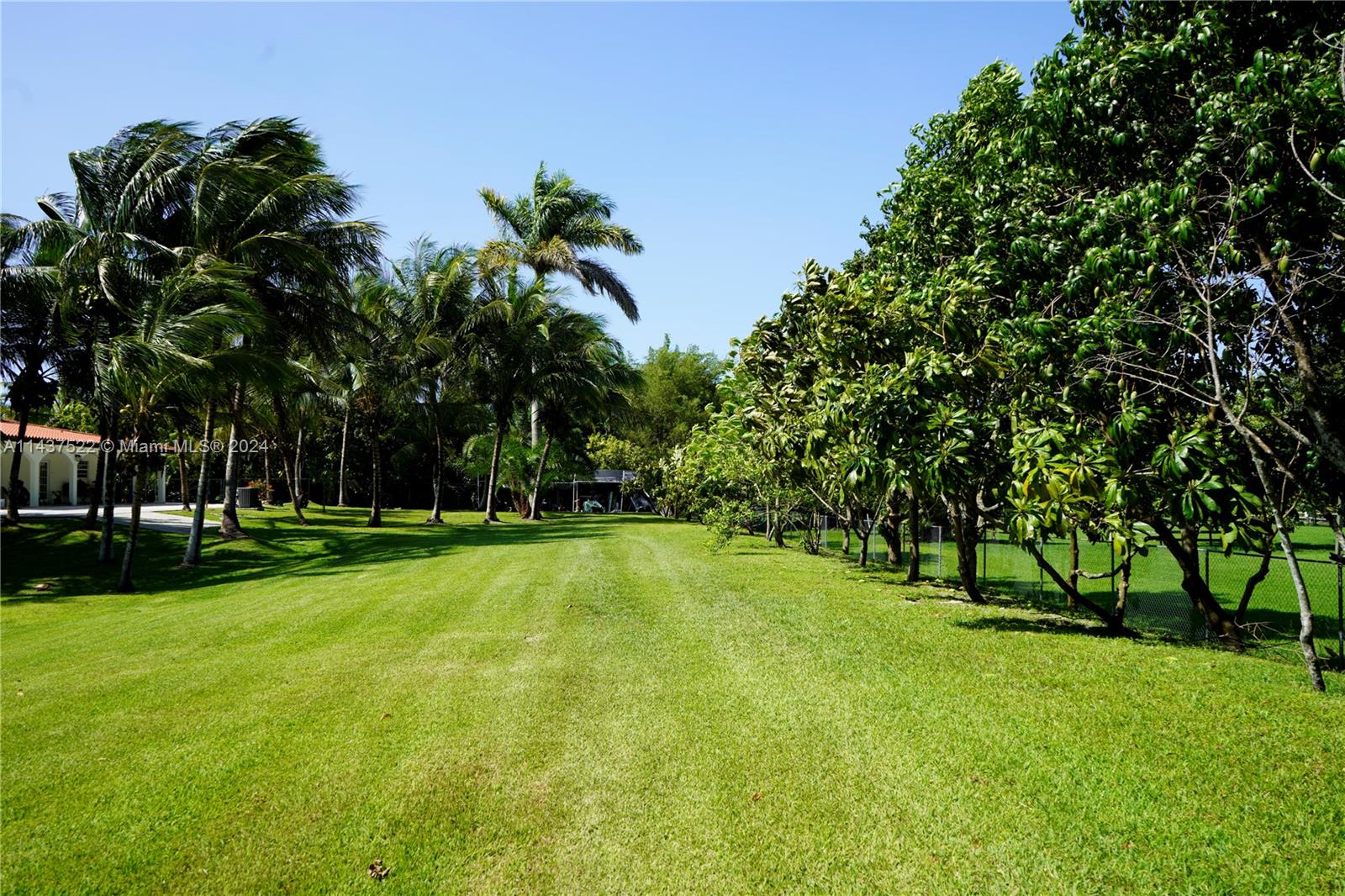 6500 Volunteer Road Southwest Ranches, FL 33330 - Photo 32 of 42 a view of a trees with a park