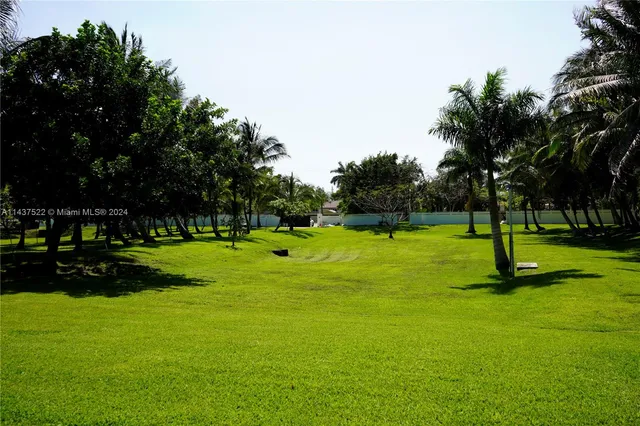 a view of a park with trees