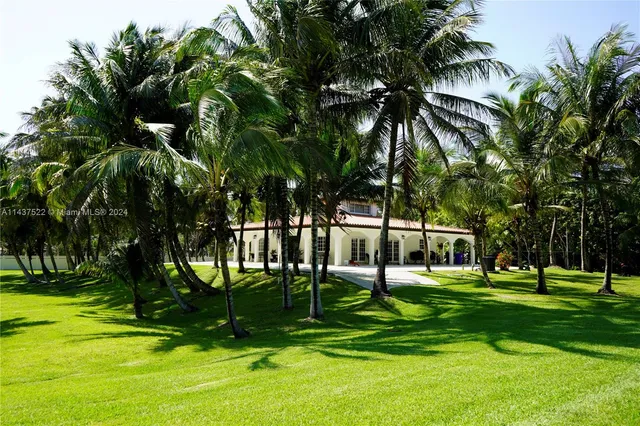 a view of a park with palm trees