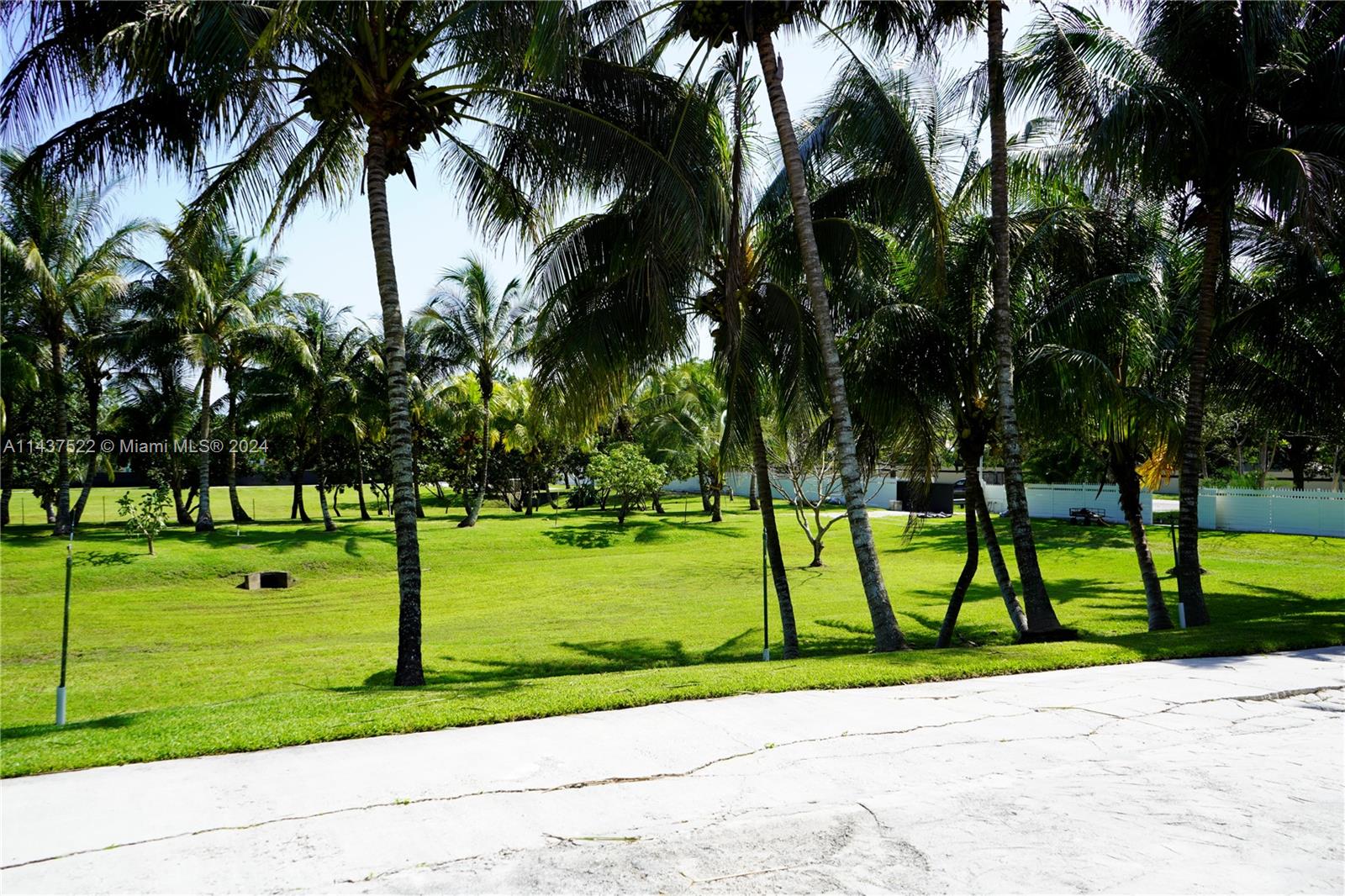 6500 Volunteer Road Southwest Ranches, FL 33330 - Photo 35 of 42 a view of a park with palm trees