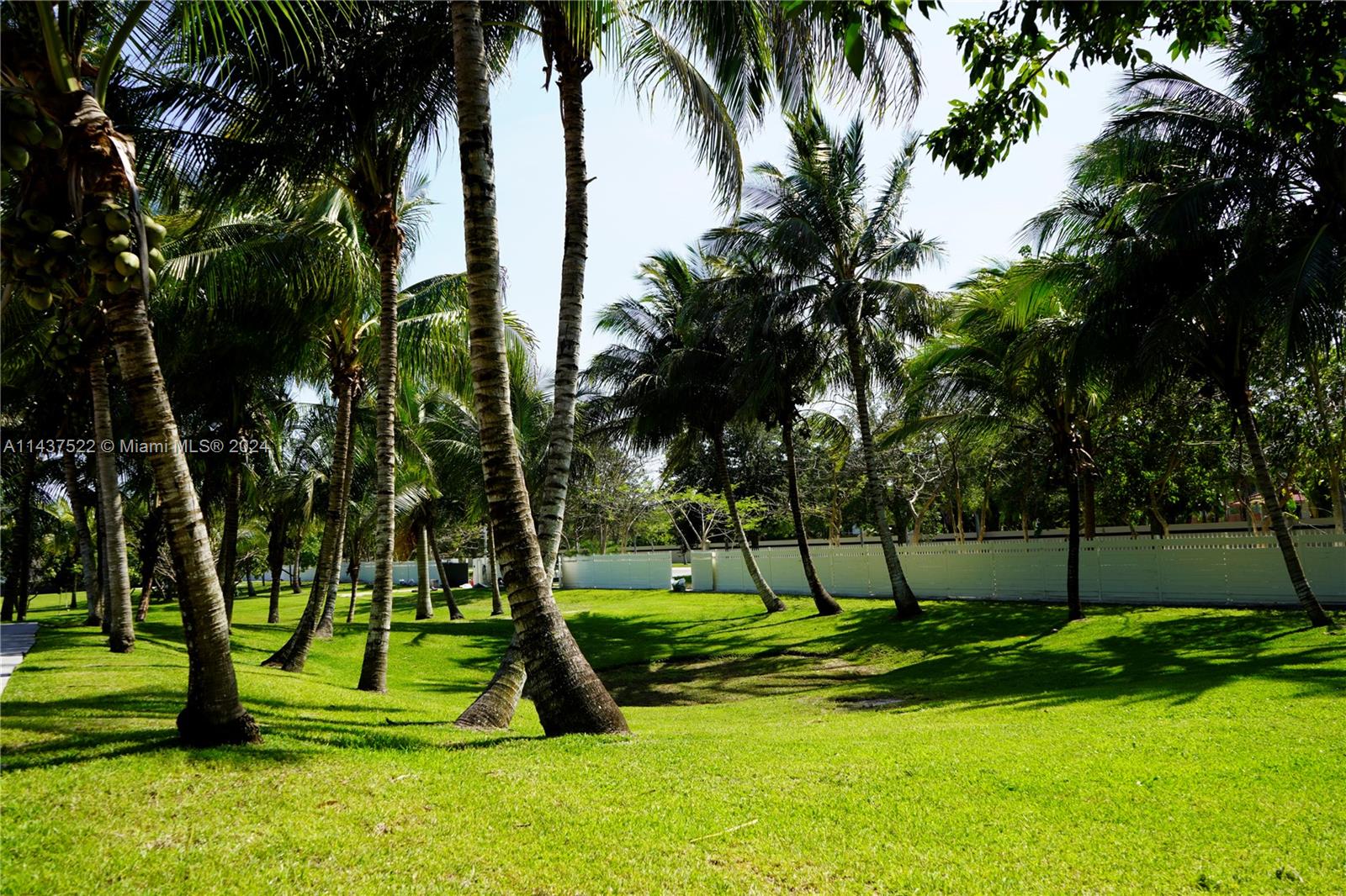 6500 Volunteer Road Southwest Ranches, FL 33330 - Photo 38 of 42 a view of a park with a tree