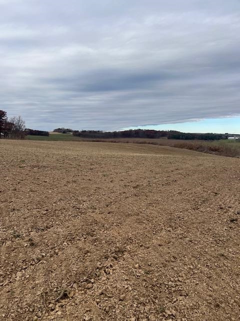 L4 Ervins Waunakee, WI 53597 - Photo 6 of 10