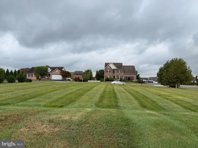 a childrens park with lots of trees