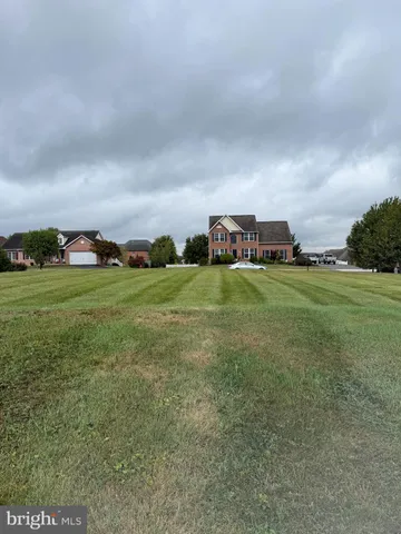 a view of a field with lawn chairs and large trees