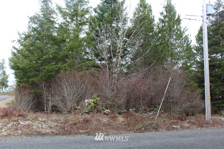 73 West Fish Hatchery Road Elma, WA 98541 - Photo 1 of 2 Gallery Image 1