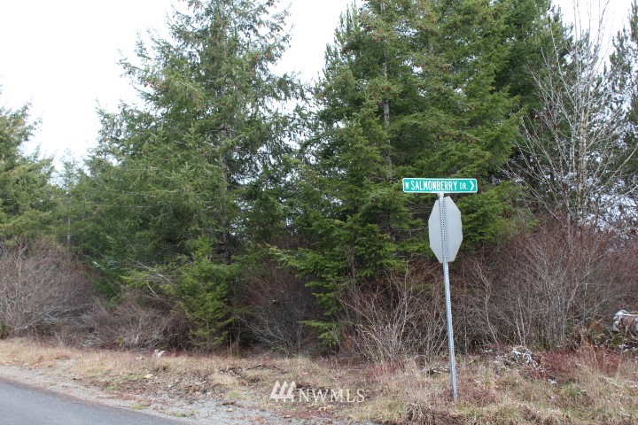 73 West Fish Hatchery Road Elma, WA 98541 - Photo 2 of 2 Gallery Image 2