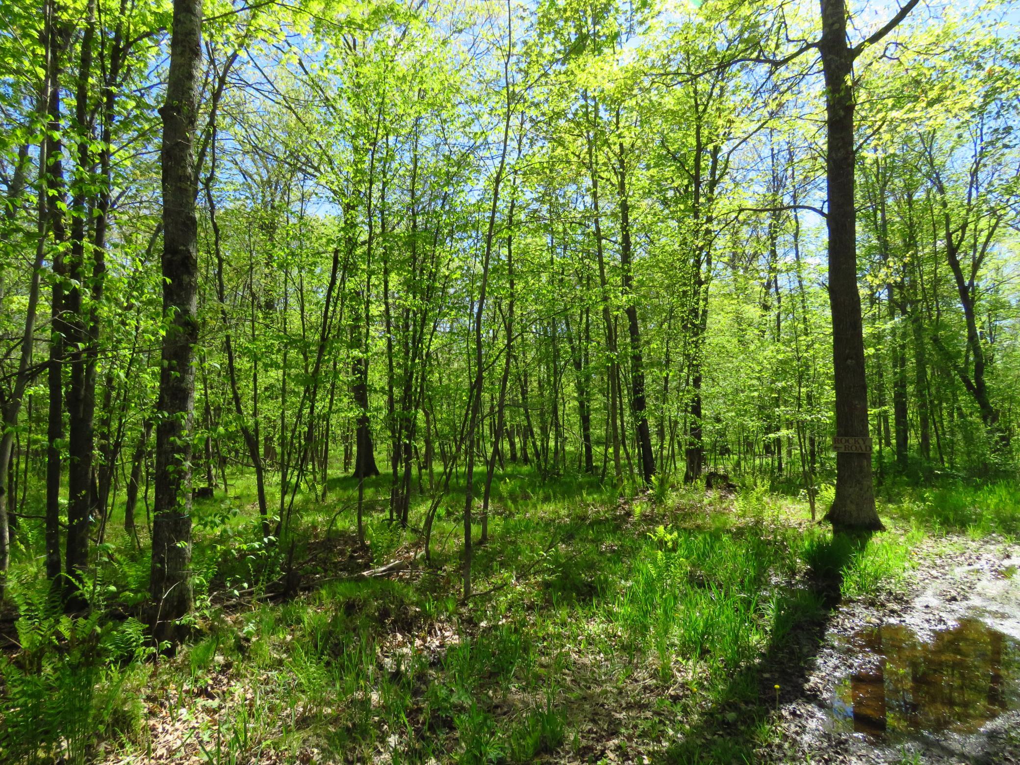 Xxx Xxx Herrick Road Frederic, WI 54837 - Photo 14 of 21