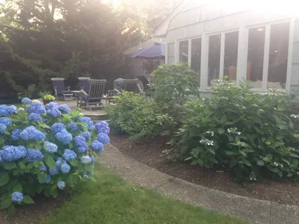 a picture of flowers
