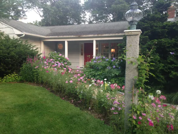 a bunch of flowers are in front of the house