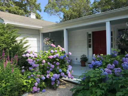 a bunch of flowers are in front of the house