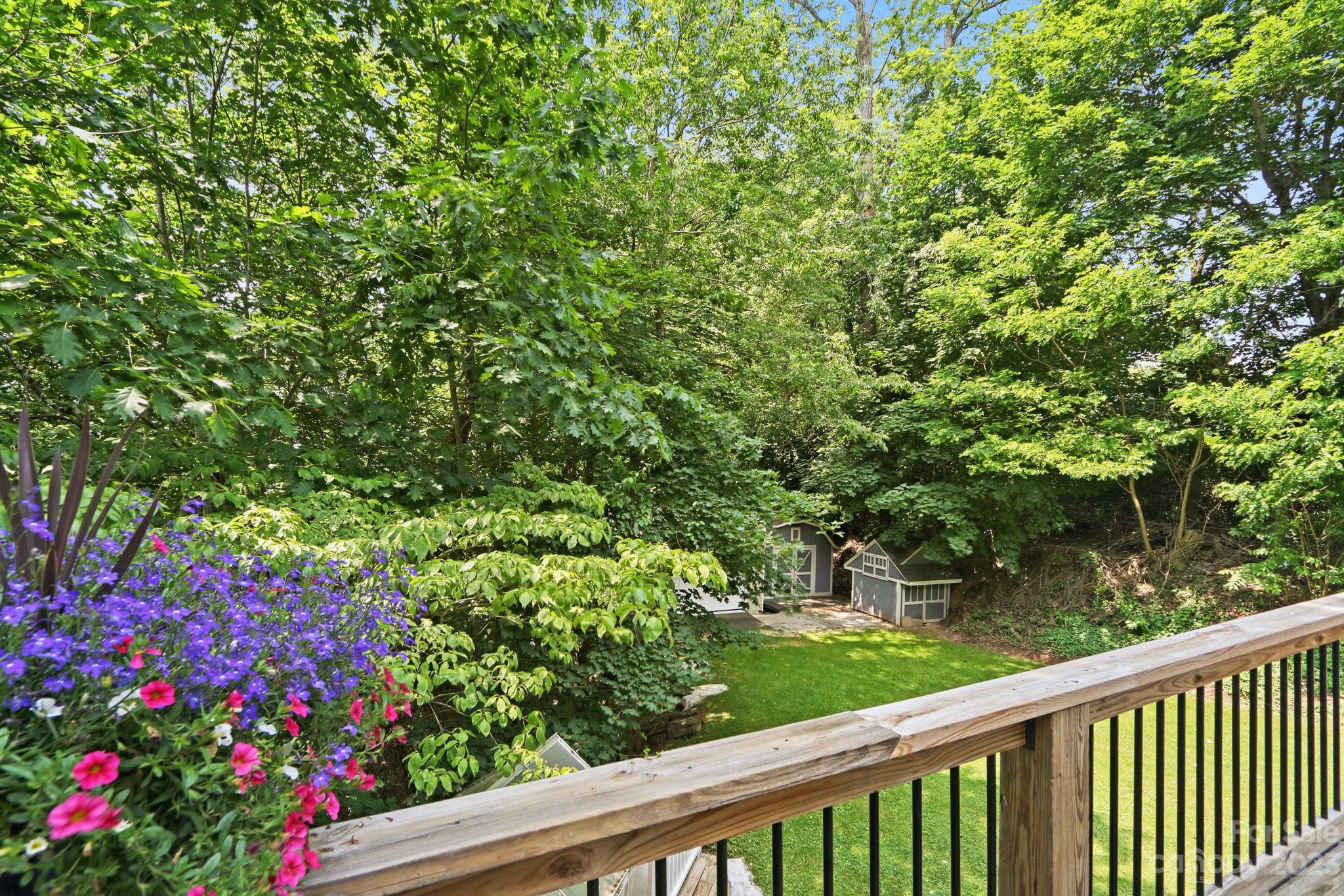 270 Pine Street Boone, NC 28607 - Photo 17 of 47 a view of a yard with a tree