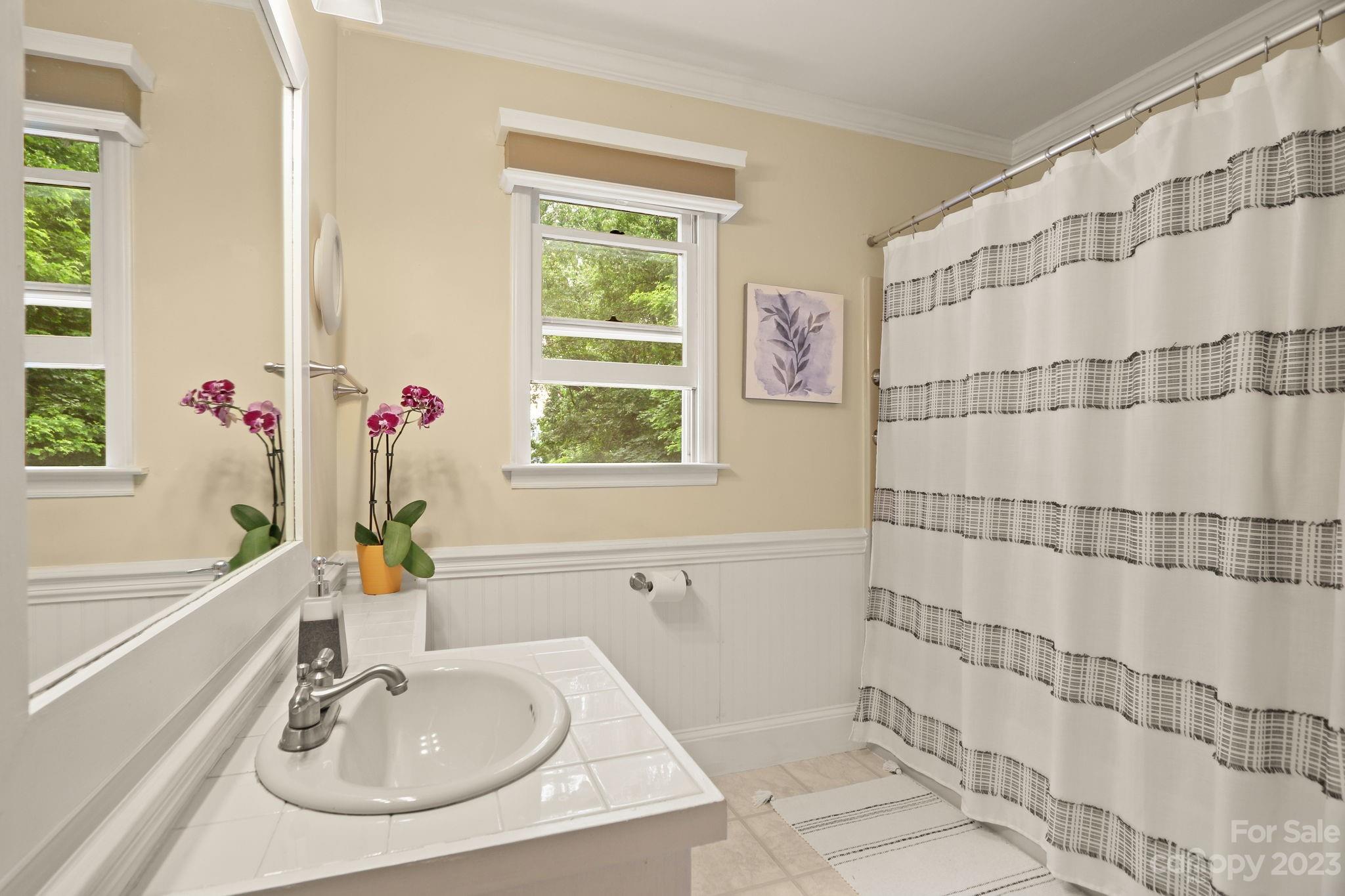 270 Pine Street Boone, NC 28607 - Photo 23 of 47 a bathroom with a sink and a bathtub