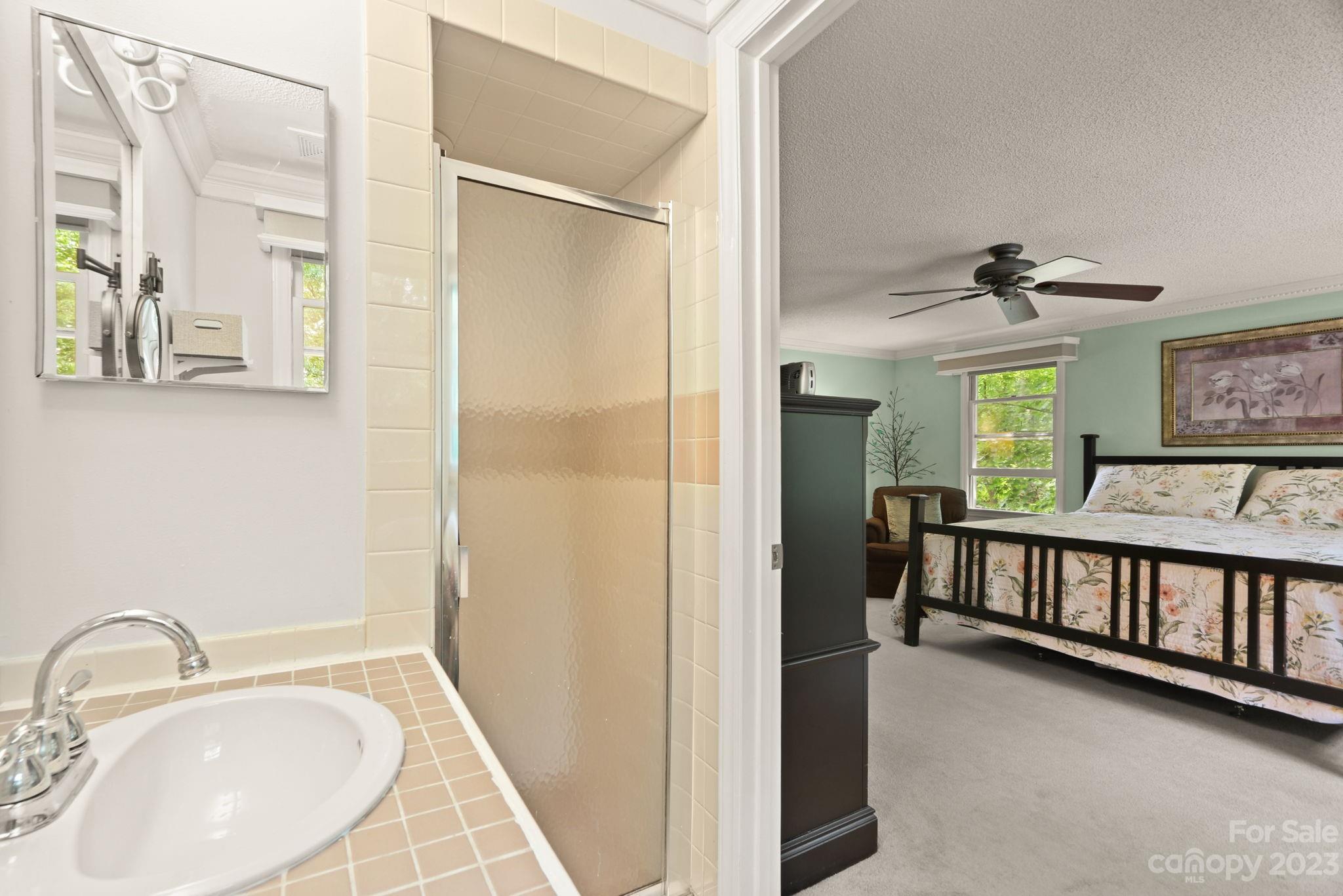 270 Pine Street Boone, NC 28607 - Photo 29 of 47 a bathroom with a sink and a mirror