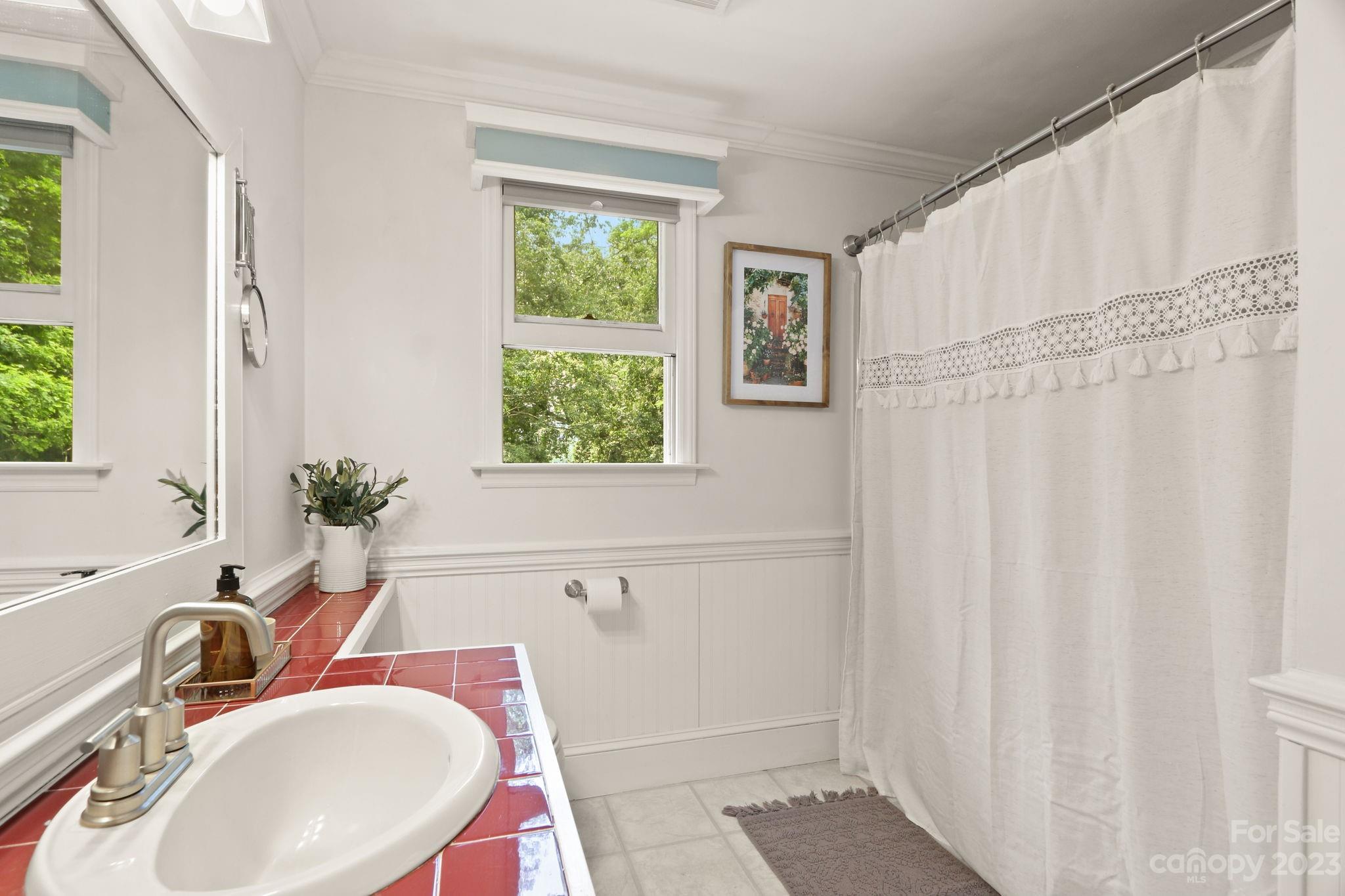 270 Pine Street Boone, NC 28607 - Photo 31 of 47 a bathroom with a sink and a mirror