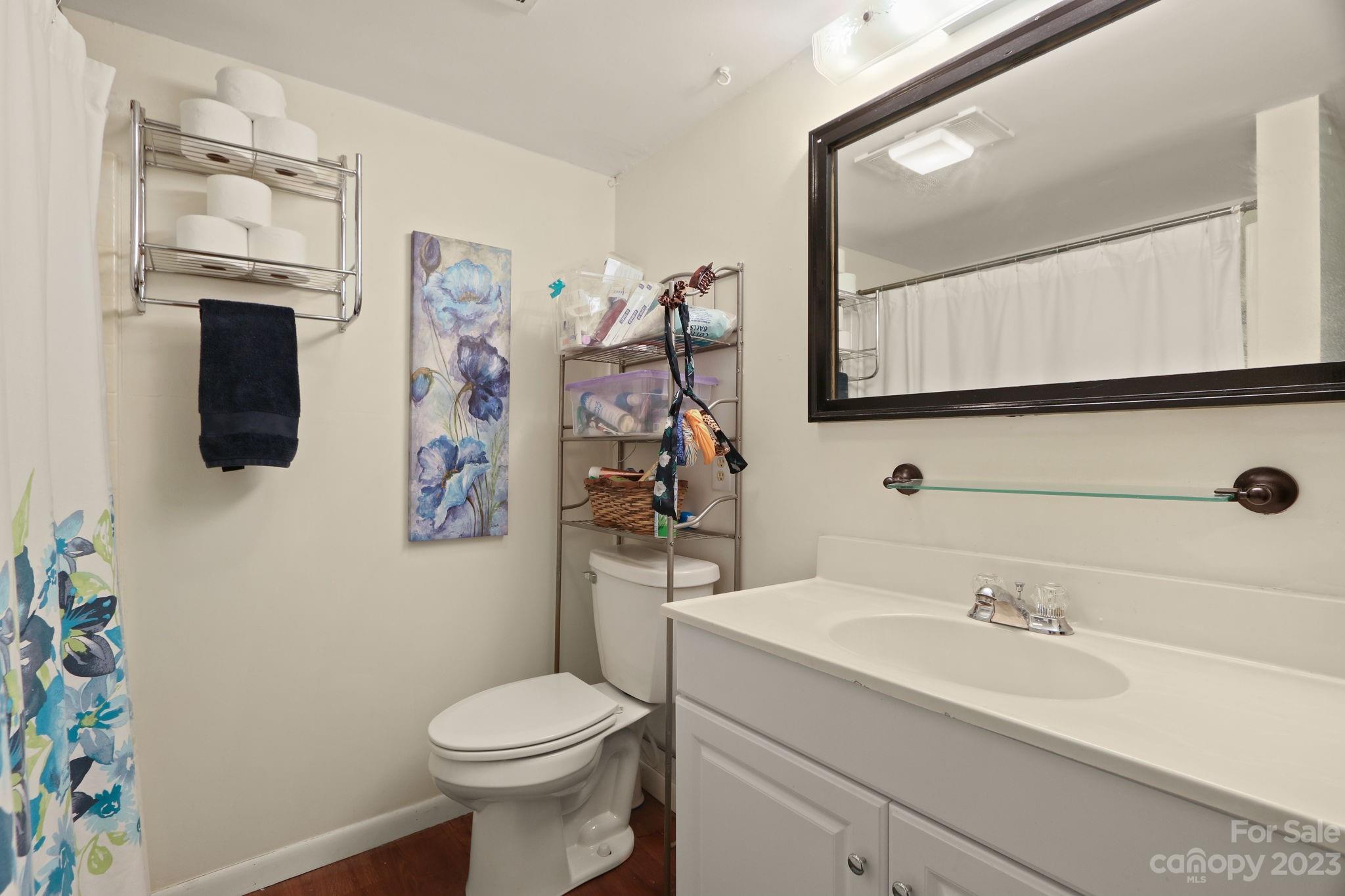 270 Pine Street Boone, NC 28607 - Photo 41 of 47 a bathroom with a sink toilet and mirror