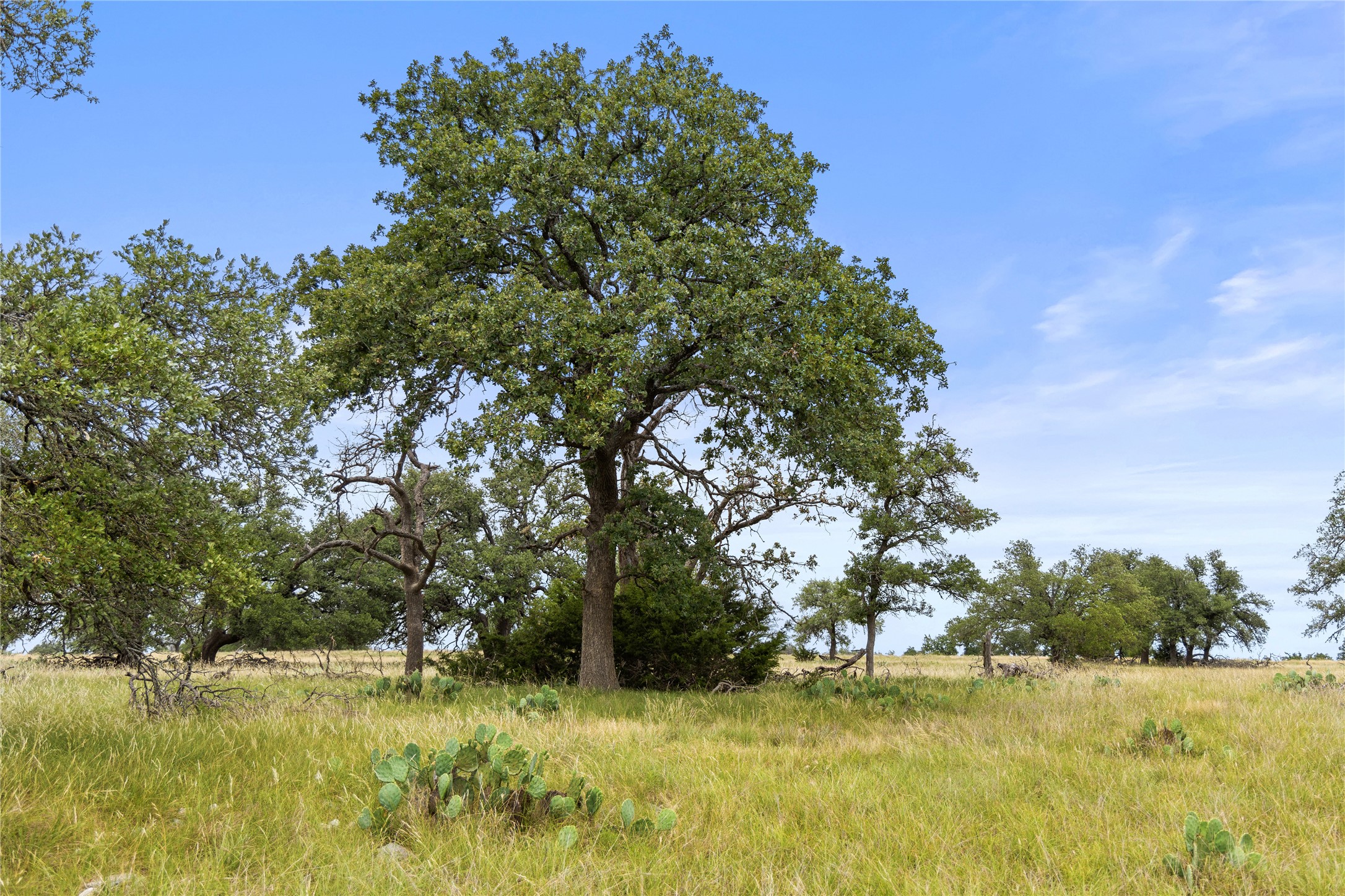 3049 Reservation Road Harper, TX 78631 - Photo 27 of 40 a view of swimming pool with an outdoor space and seating area