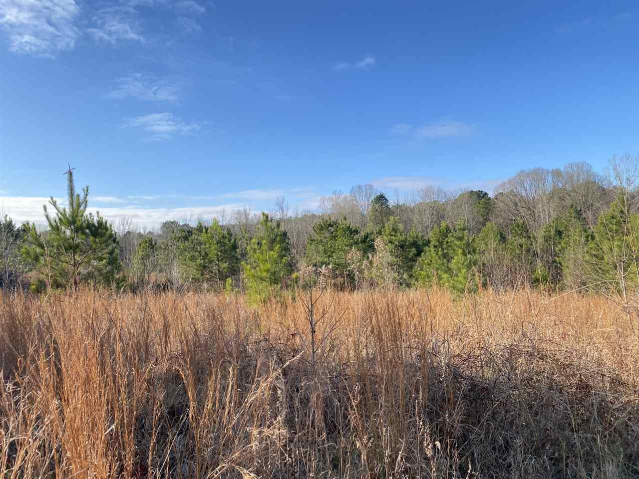 0 Plum Point Road Pope, MS 38658 - Photo 3 of 34 Photo 3