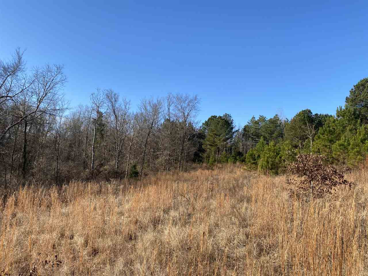 0 Plum Point Road Pope, MS 38658 - Photo 6 of 34 Photo 6
