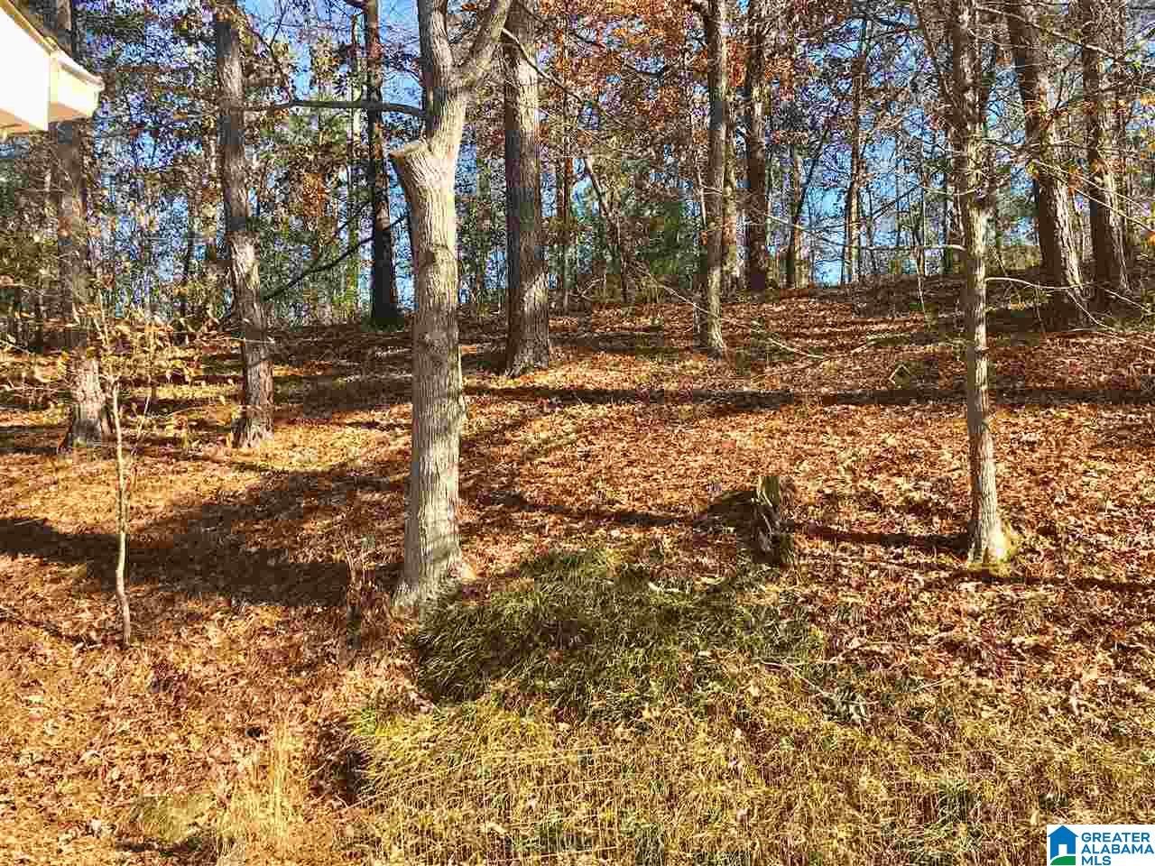 108 Foxley Road Anniston, AL 36205 - Photo 13 of 31