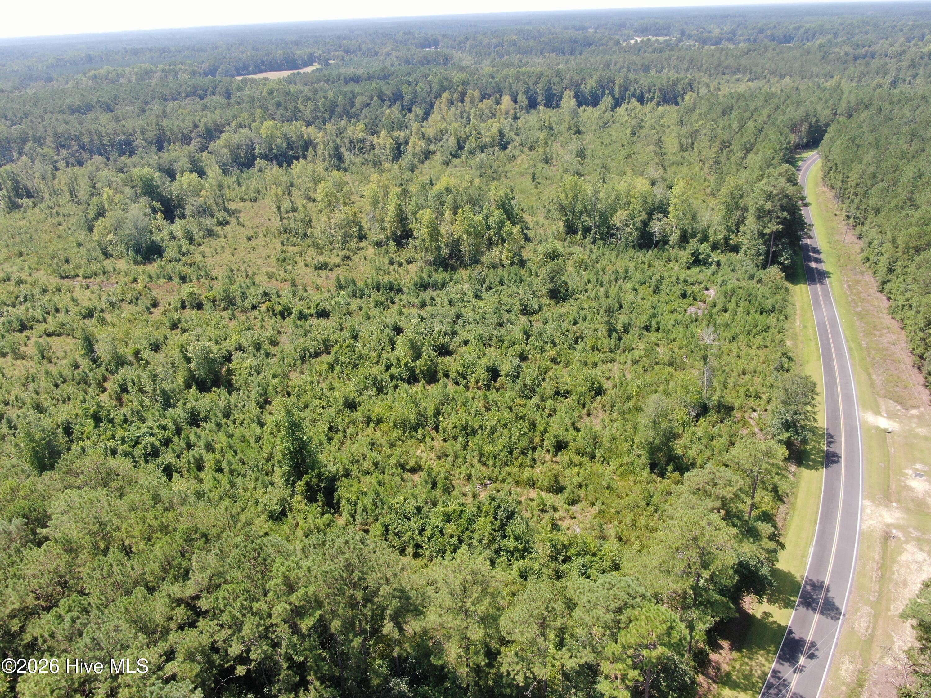 Tbd Sarah Peterson Road Council, NC 28434 - Photo 18 of 18 Gallery Image 18