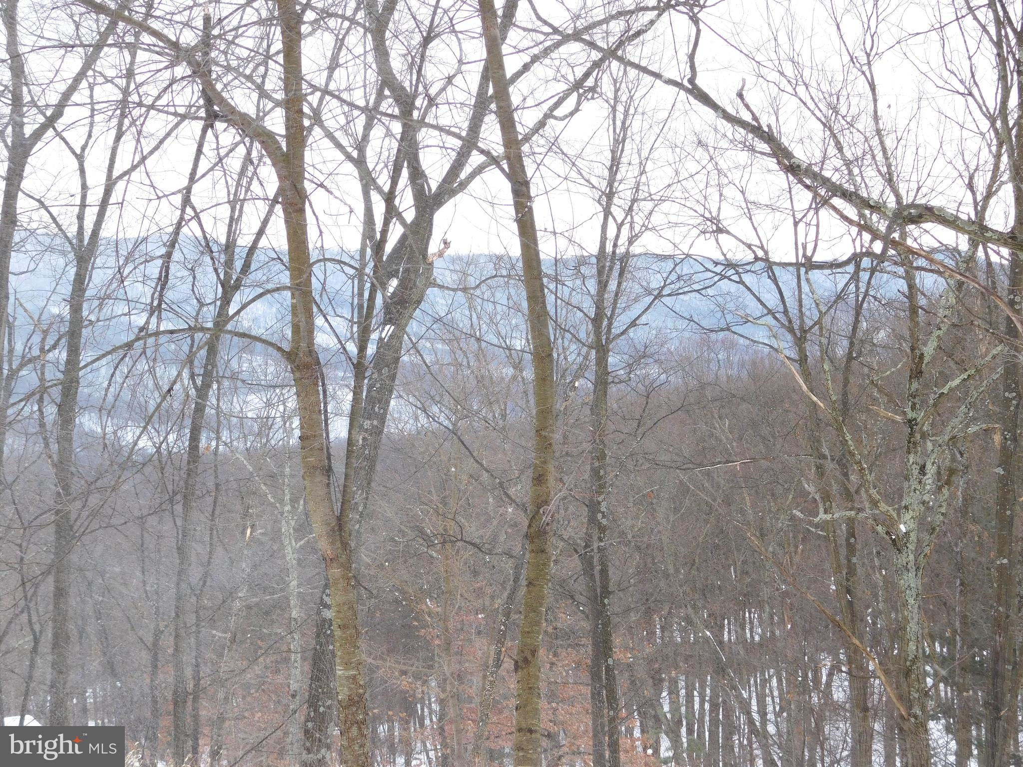 5704 Racoon Road Fort Loudon, PA 17224 - Photo 21 of 21 Gallery Image 21