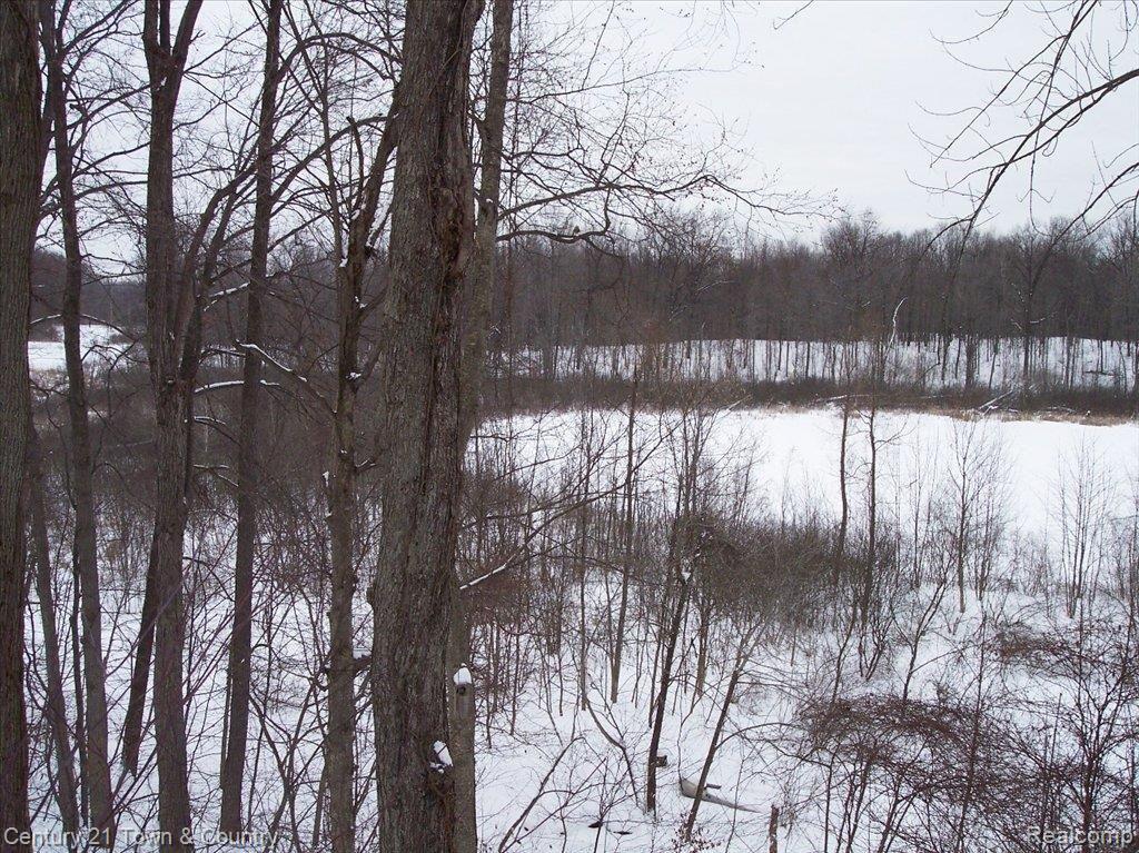 1175 Baker Road Fenton, MI 48430 - Photo 4 of 16 View of Lake On Property