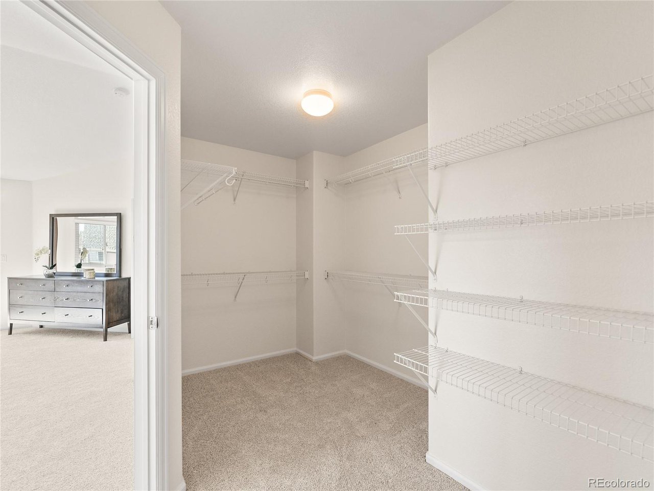 10650 Wagon Box Way Highlands Ranch, CO 80130 - Photo 27 of 47 Primary walk-in closet
