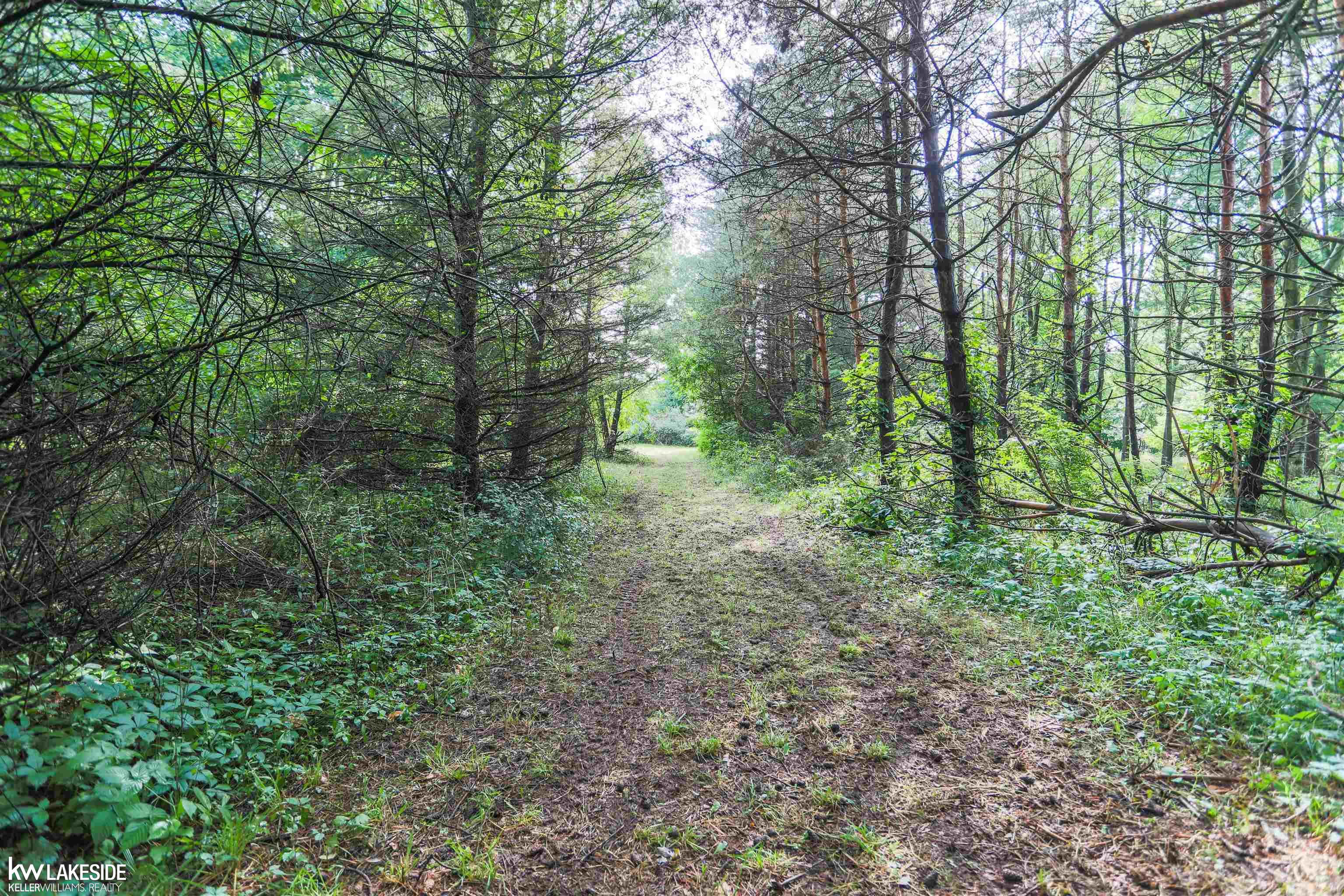80700 Coon Creek Road Armada, MI 48005 - Photo 31 of 67 50085808-30.JPG