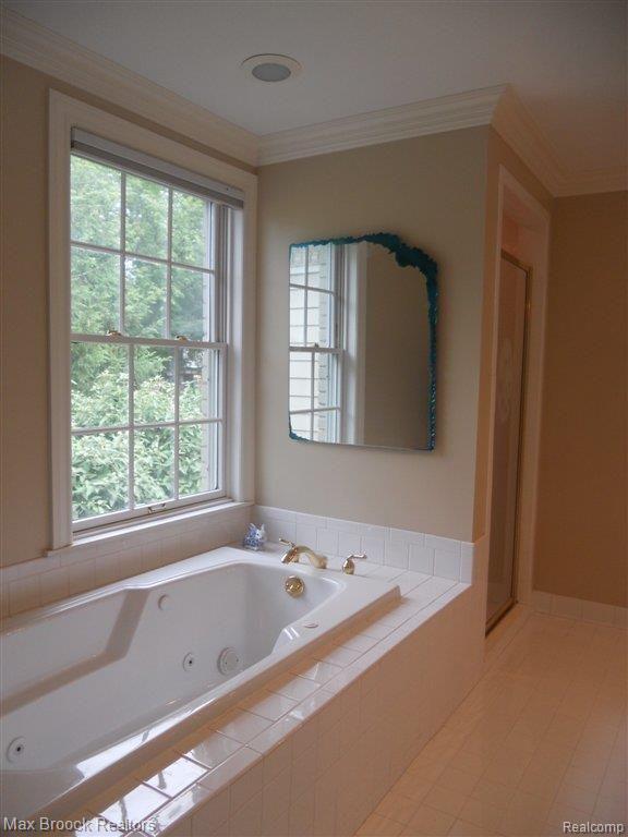 151 Overhill Road Bloomfield Hills, MI 48301 - Photo 17 of 25 Jetted Tub