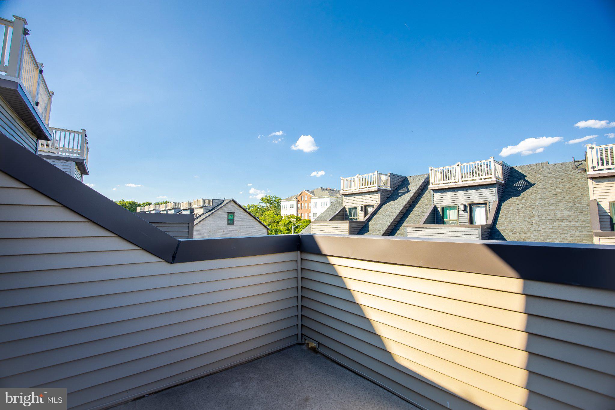 5313 8th Road South Arlington, VA 22204 - Photo 48 of 50 Sunny rooftop retreat with skyline views.
