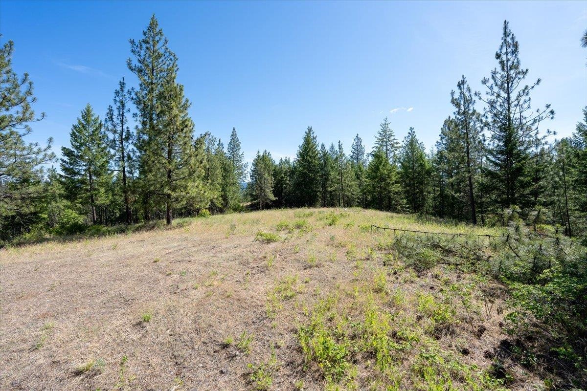 3-xxx Beitey Road Valley, WA 99181 - Photo 3 of 30
