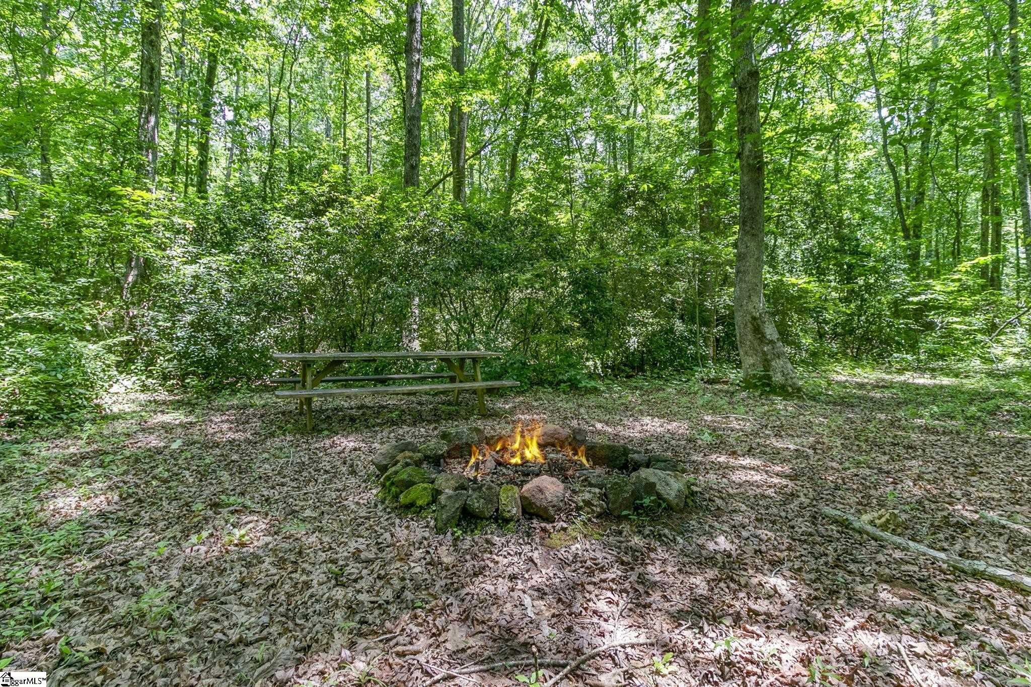 208 Hunters Ridge Pickens, SC 29671 - Photo 29 of 35