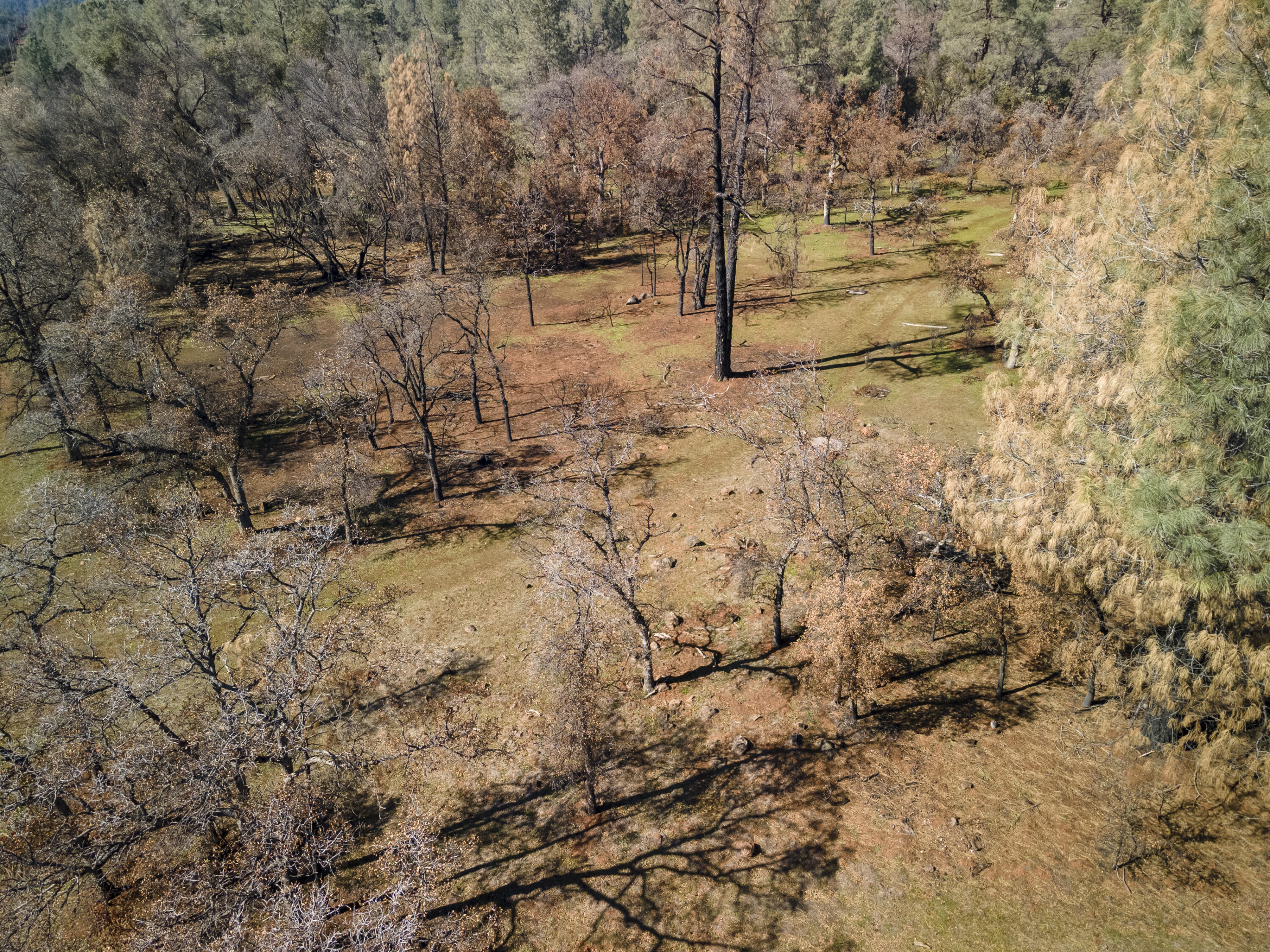 Merrilea Lane Shingletown, CA 96088 - Photo 1 of 29 Aerial-01