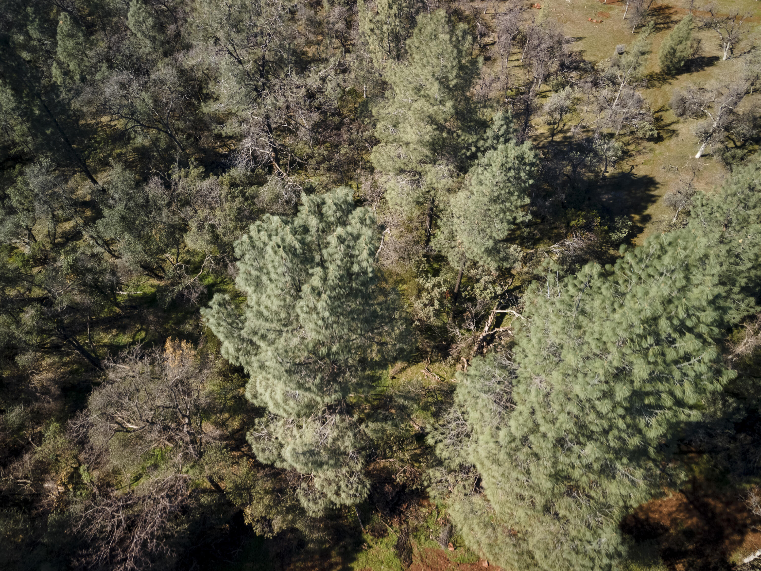 Merrilea Lane Shingletown, CA 96088 - Photo 12 of 29 Aerial-20