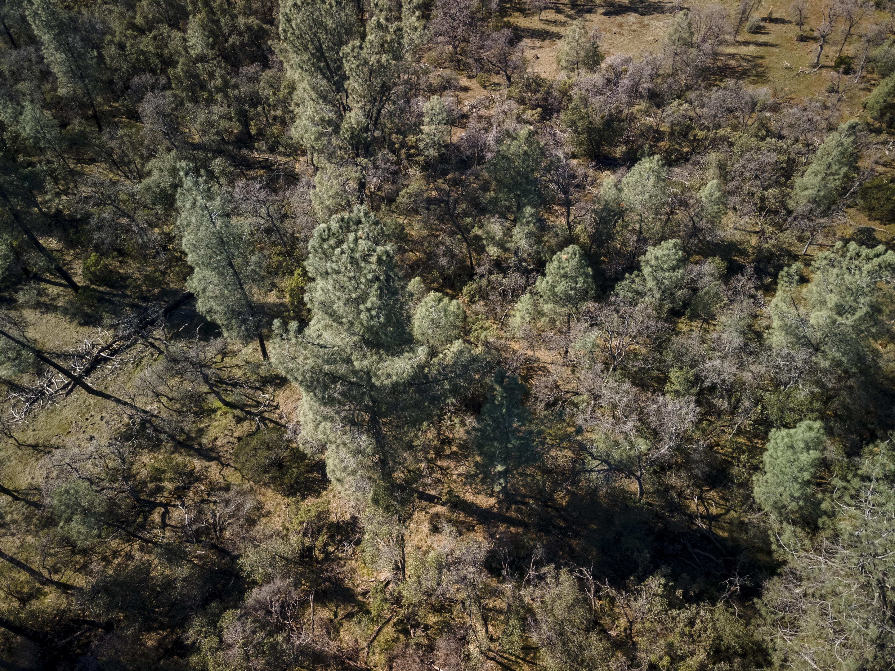 Merrilea Lane Shingletown, CA 96088 - Photo 13 of 29 Aerial-21