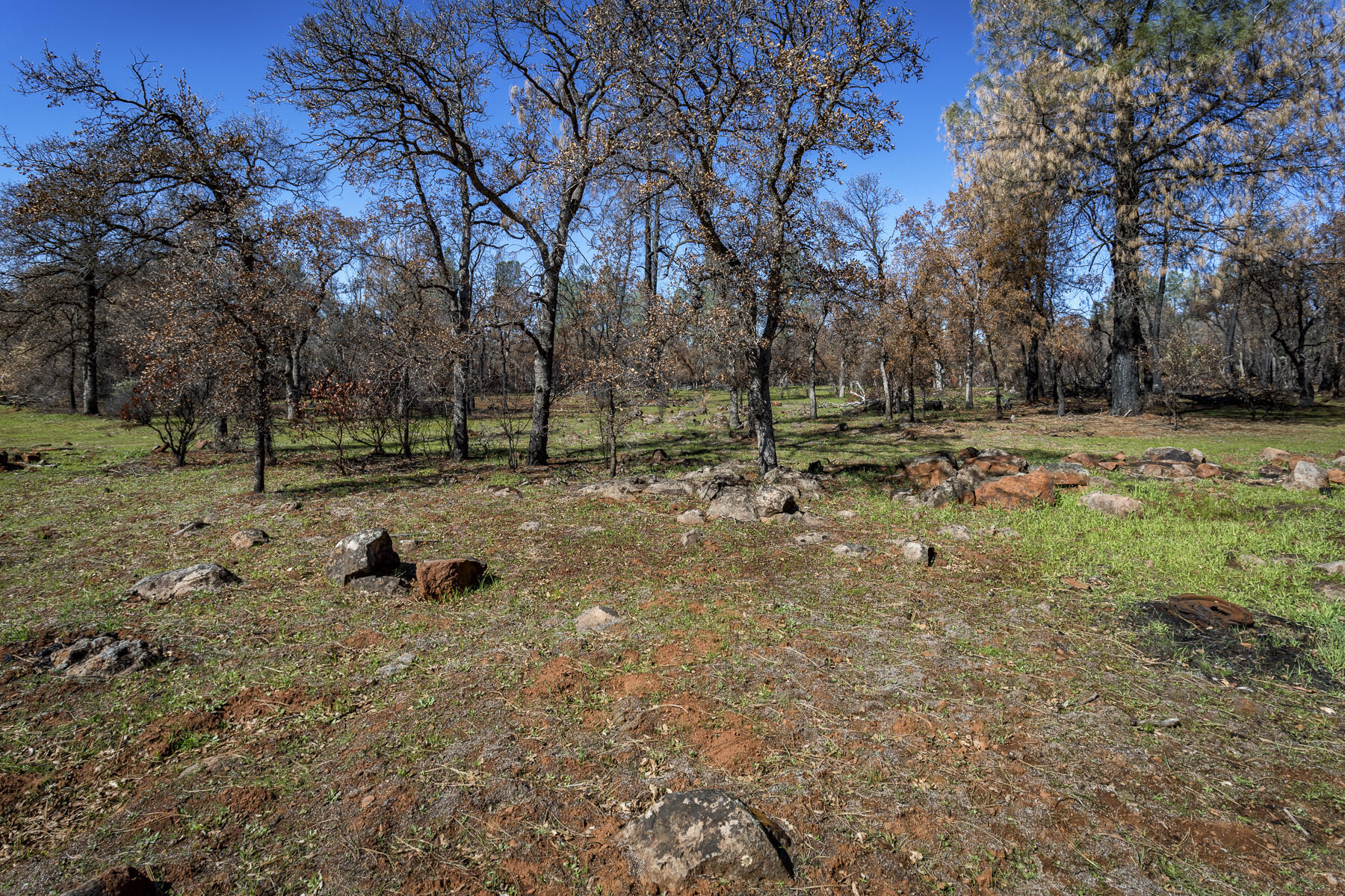 Merrilea Lane Shingletown, CA 96088 - Photo 14 of 29 Stinar Lot-Web-01