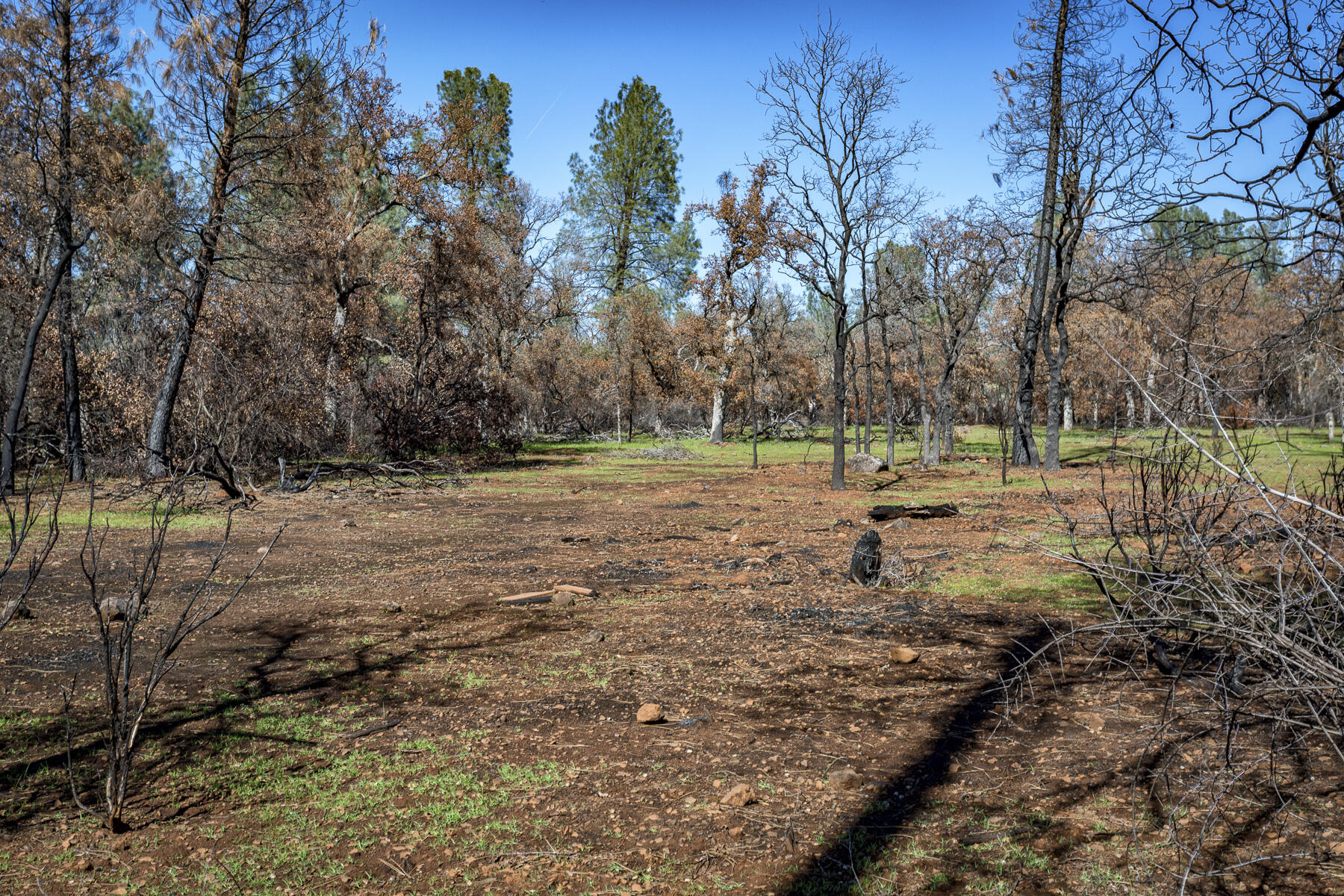 Merrilea Lane Shingletown, CA 96088 - Photo 15 of 29 Stinar Lot-Web-06