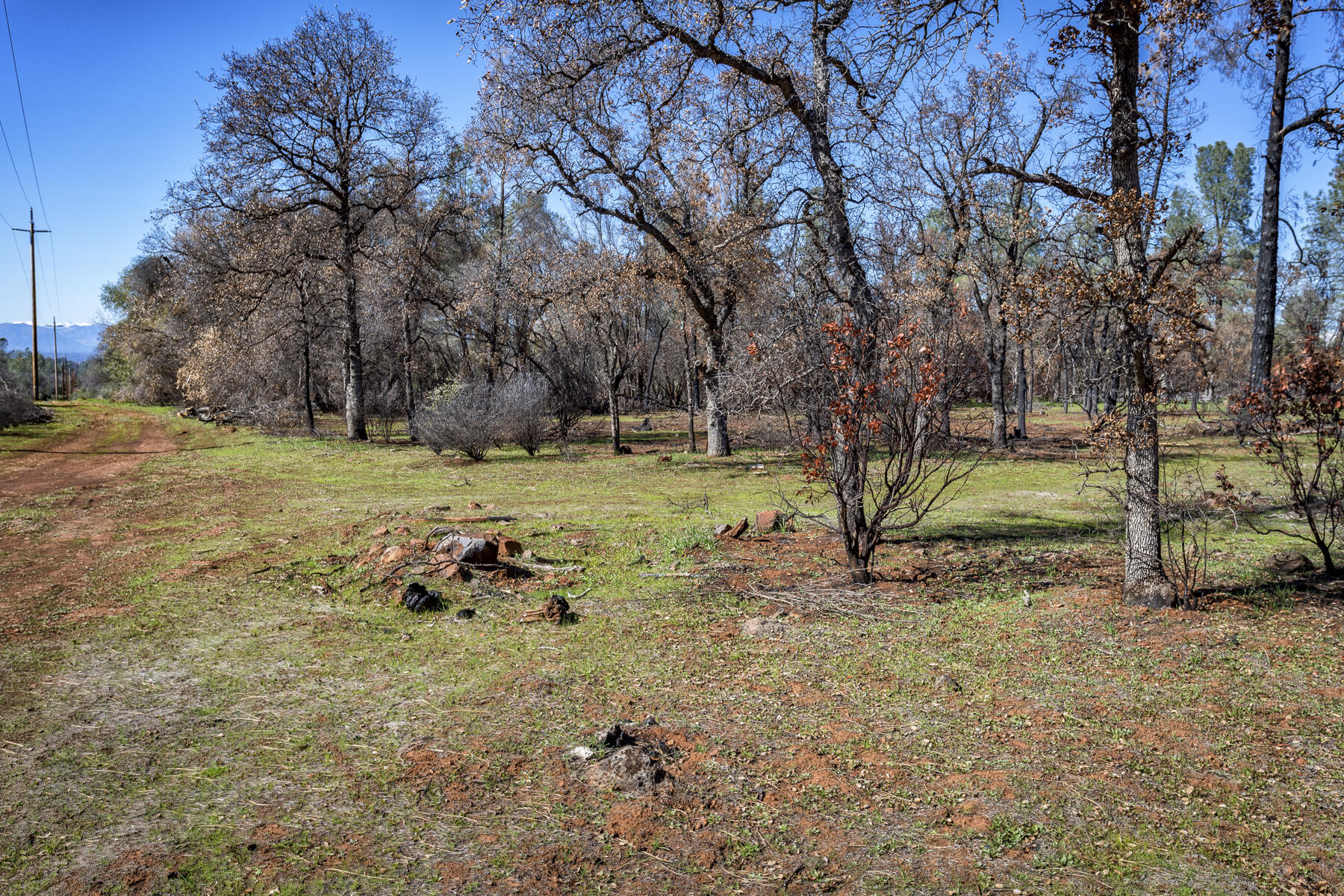 Merrilea Lane Shingletown, CA 96088 - Photo 16 of 29 Stinar Lot-Web-02
