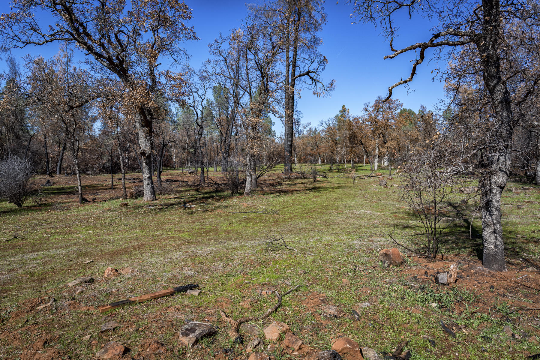 Merrilea Lane Shingletown, CA 96088 - Photo 17 of 29 Stinar Lot-Web-03