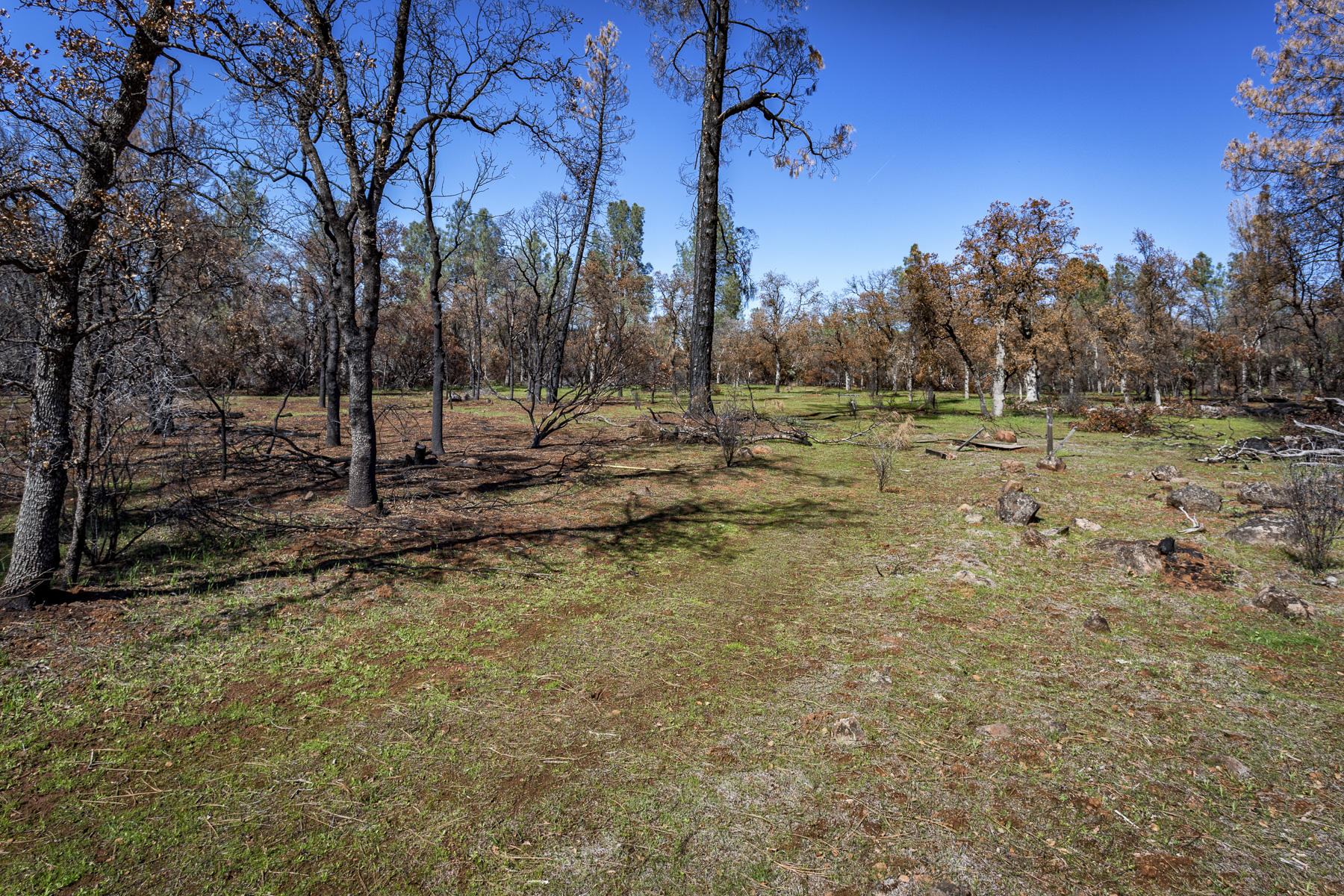 Merrilea Lane Shingletown, CA 96088 - Photo 18 of 29 Stinar Lot-Web-04