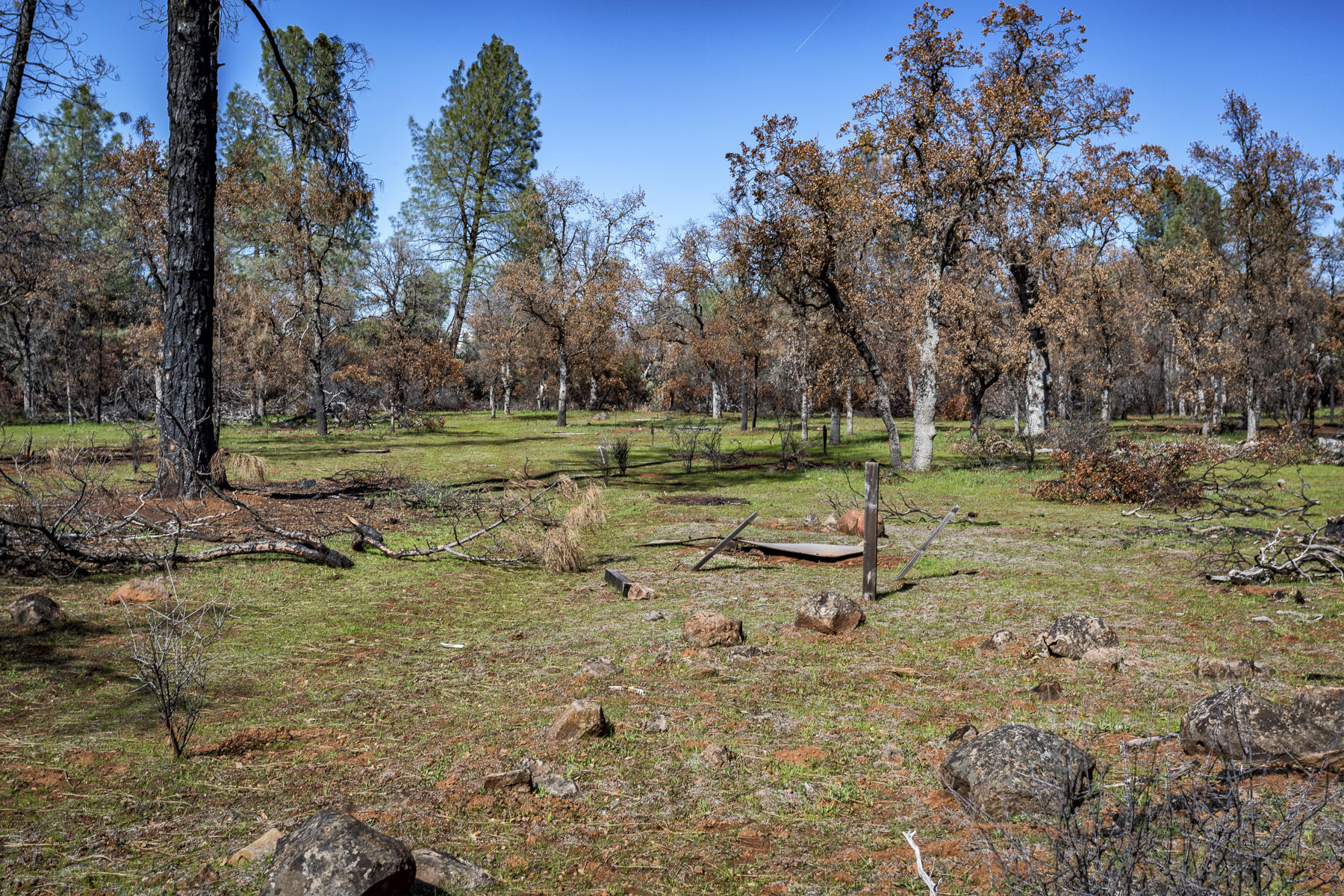Merrilea Lane Shingletown, CA 96088 - Photo 19 of 29 Stinar Lot-Web-05