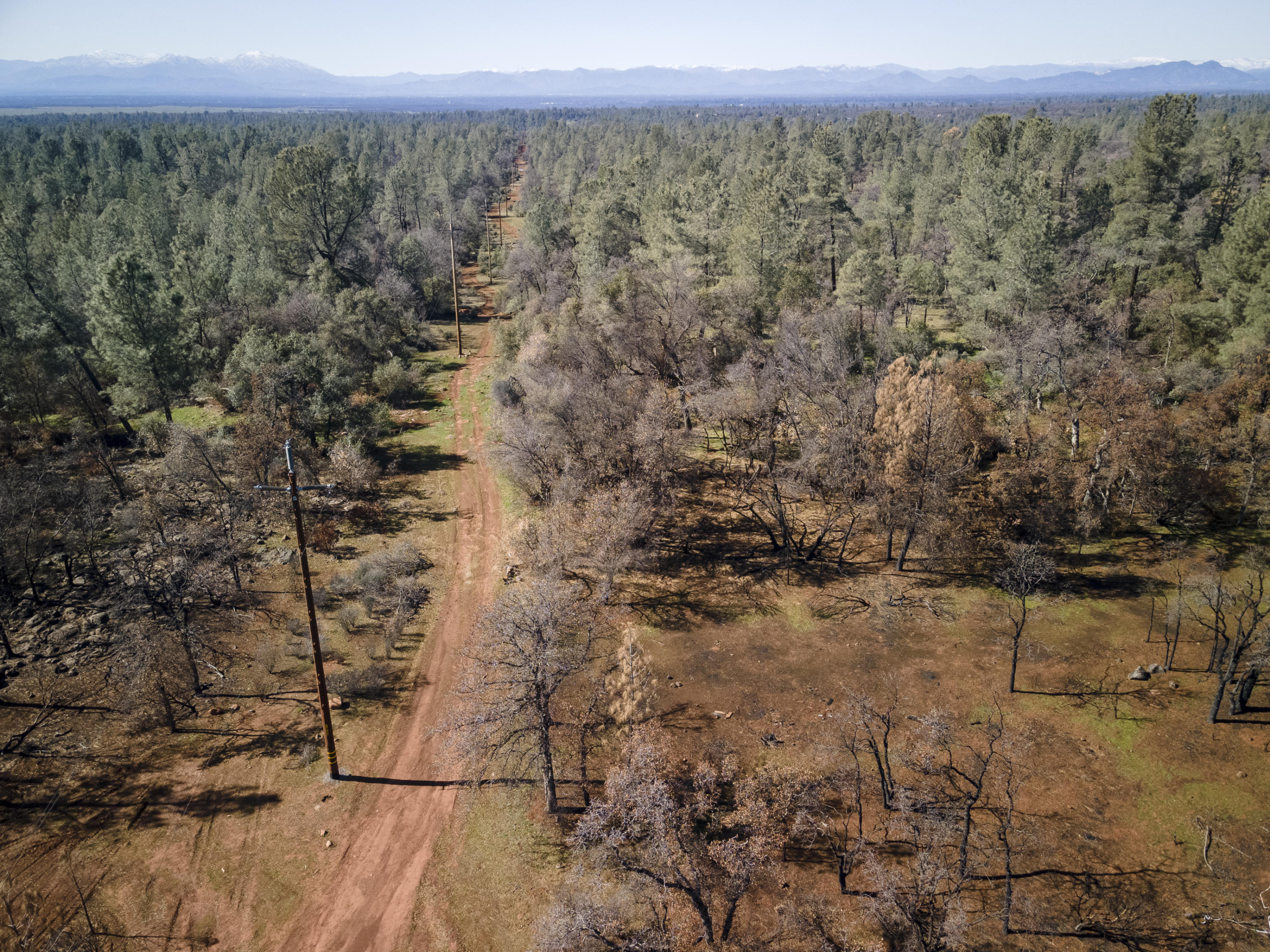 Merrilea Lane Shingletown, CA 96088 - Photo 20 of 29 Aerial-03